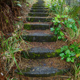 Steps up from Nellies Cove, Port Orford