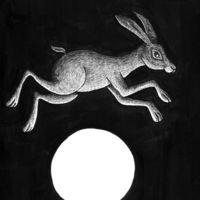 Hare and Moon
