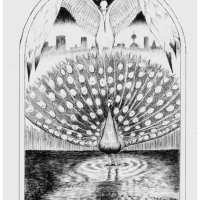 Crane and Peacock