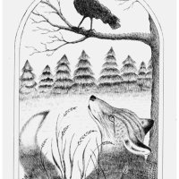 Fox and Crow