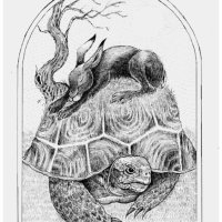 Hare and Tortoise