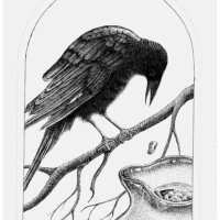 Crow and Pitcher