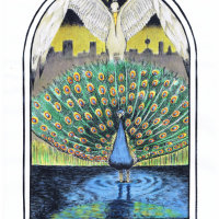 The Crane and the Peacock