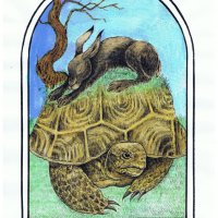 The Hare and the Tortoise