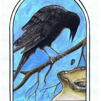 The Crow and the Pitcher