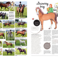 The Showing Journal, September 2015