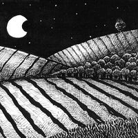 Jack's Fields