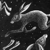 Hares Playing