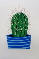 Echinocactus Grusonii