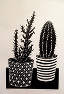 Cacti