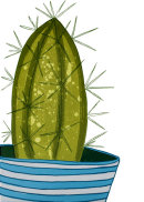 Cactus II, 2014.
