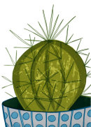 Cactus I, 2104.