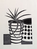 Chlorophytum Comosum - Spider Plant Still Life