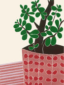 The Money Tree II
