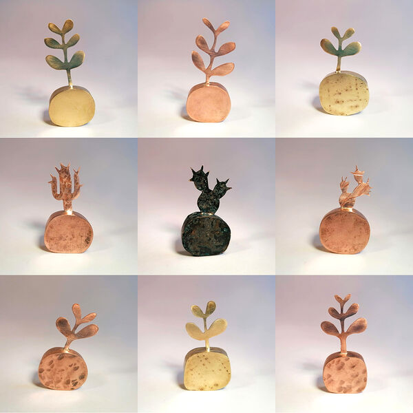 Kerry Day - Mini Money Tree and Cacti - Sculptures