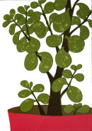 Money Tree