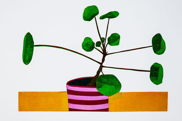 Kerry Day - Pilea Peperomiodies IV Lino Print