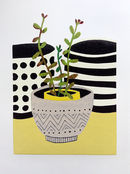 Sedum Rubrotinctum Still Life