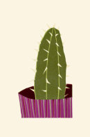 Spike II, 2014