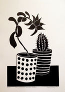The Succulent and The Cactus