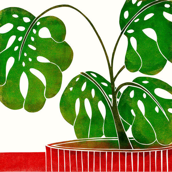 Kerry Day - Swiss Cheese Plant - Lino Print