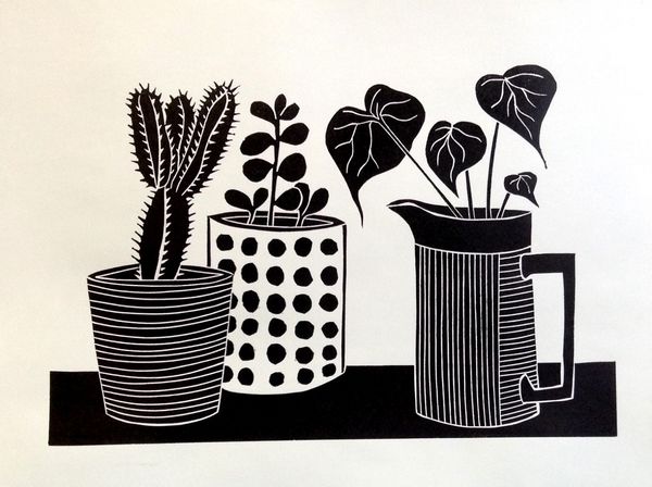 The Cactus, The Money Tree and The Begonia