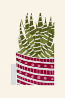 Zebra Plant, 2014