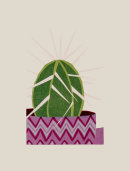 Zig Zag Cactus, 2014