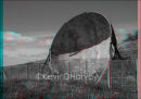 The dish at Hythe