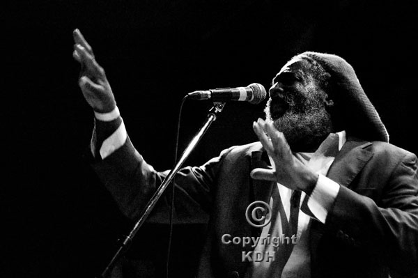 The Estimators at Skabour 2012