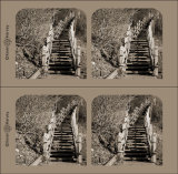 The Metropole Steps