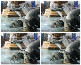 More Trafalgar Square Fountain Detail