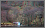 Lomond shoreline