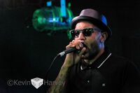 The Specials Ltd 5