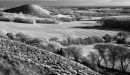 View of Summerhouse Hill from Tolsford Hill