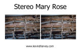 Mary Rose 2013 Stereocard