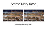 Mary Rose 2013 Stereocard