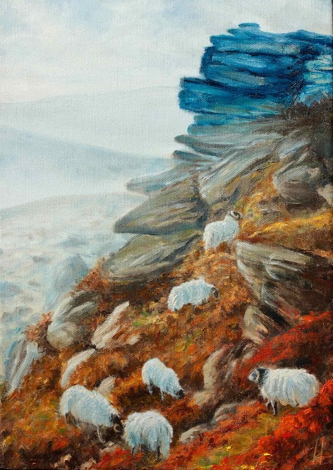 Fell Sheep