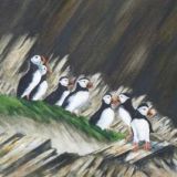 Puffins