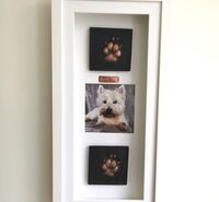 Westie 2D paw prints with photo