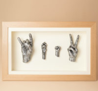 Four 3D casts framed- £420