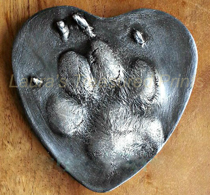 A German Shepherd paw 2D print