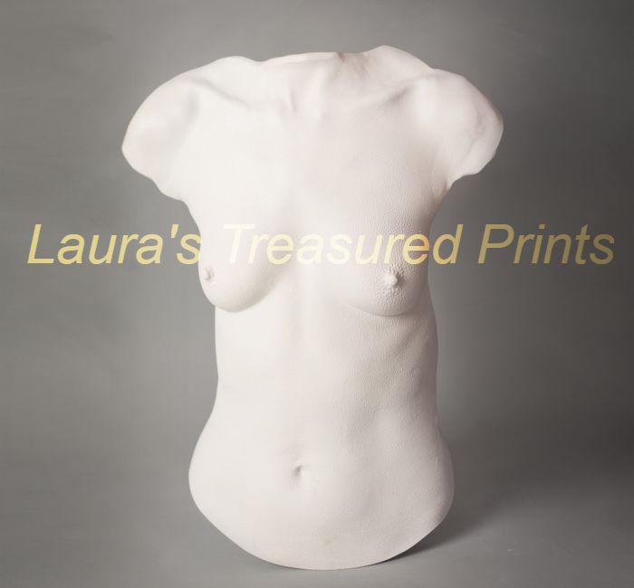 Upper torso ladies body cast.
