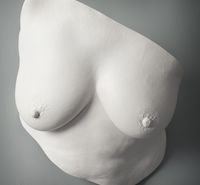 Wonderful Female Body/ Breast Cast