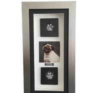 2D Pug paw's Outprint with photo