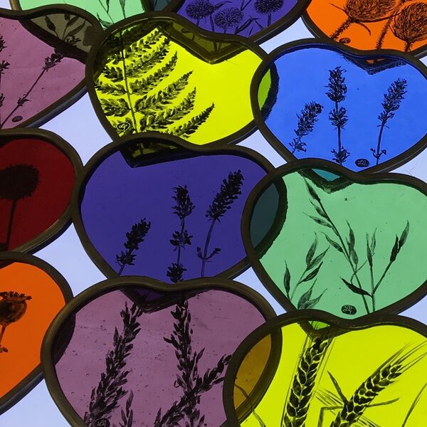 Grasses, ferns and flowers