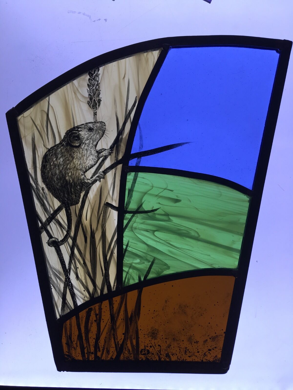 Harvest mouse