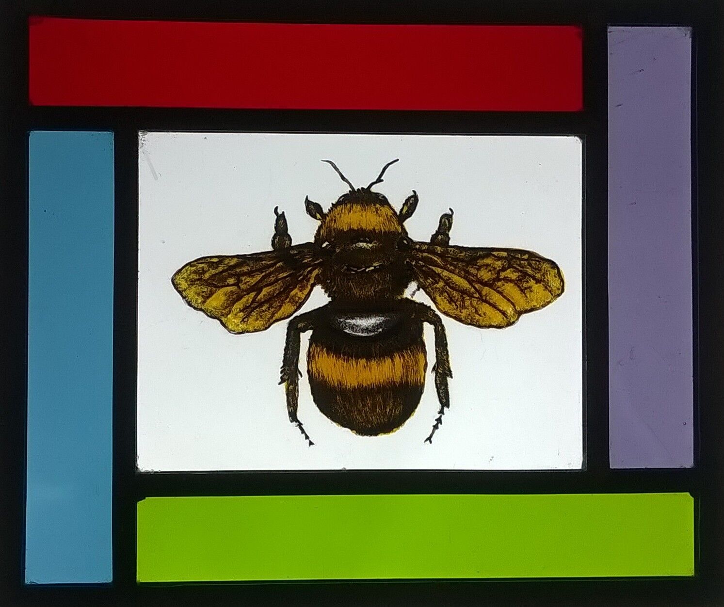 stained glass painted bee with border