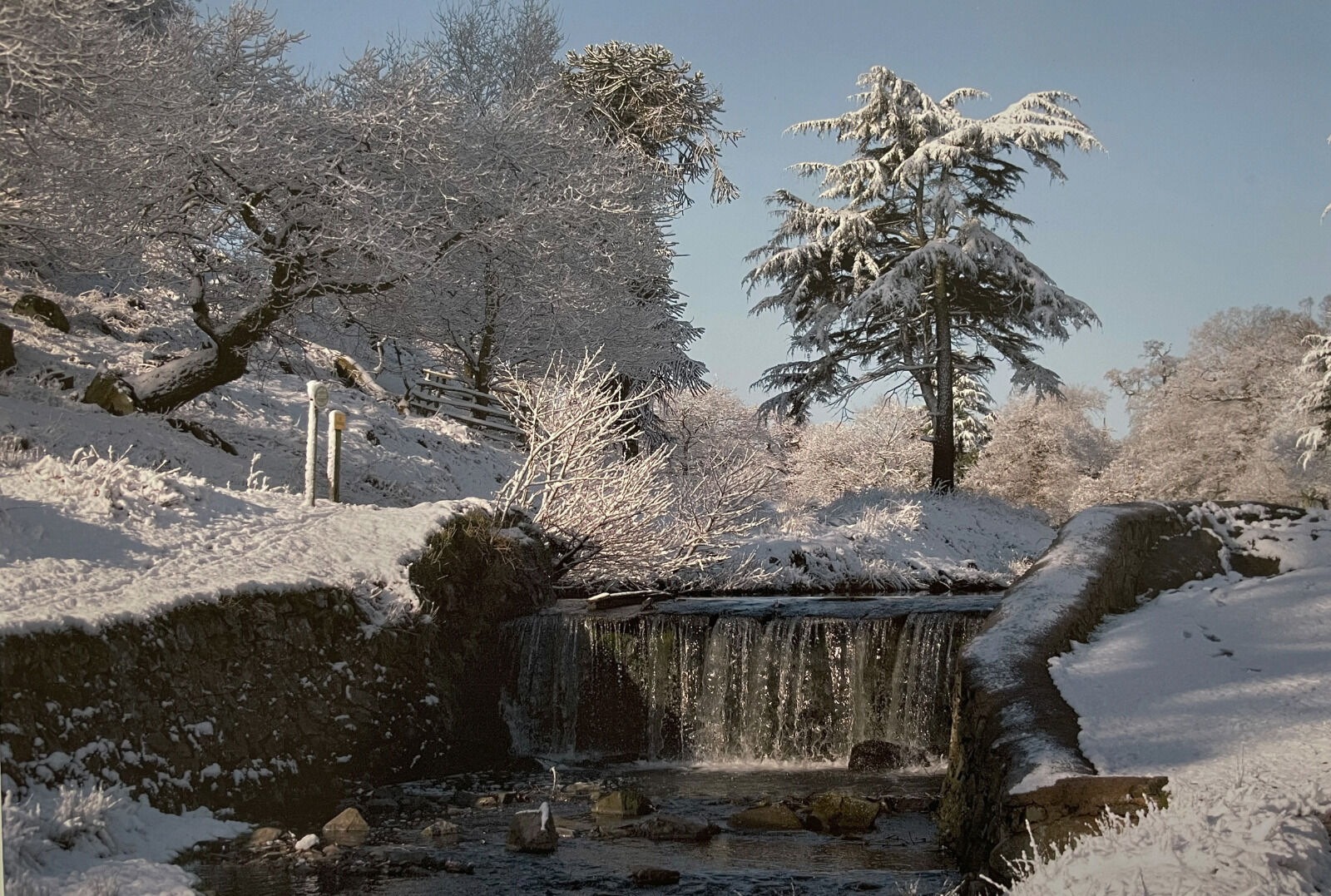 Group A - Commended - Winter in Bradgate - Peter Swanson