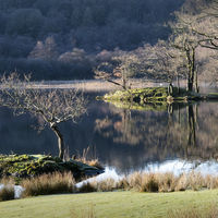 All Is Calm - Peggy Franks